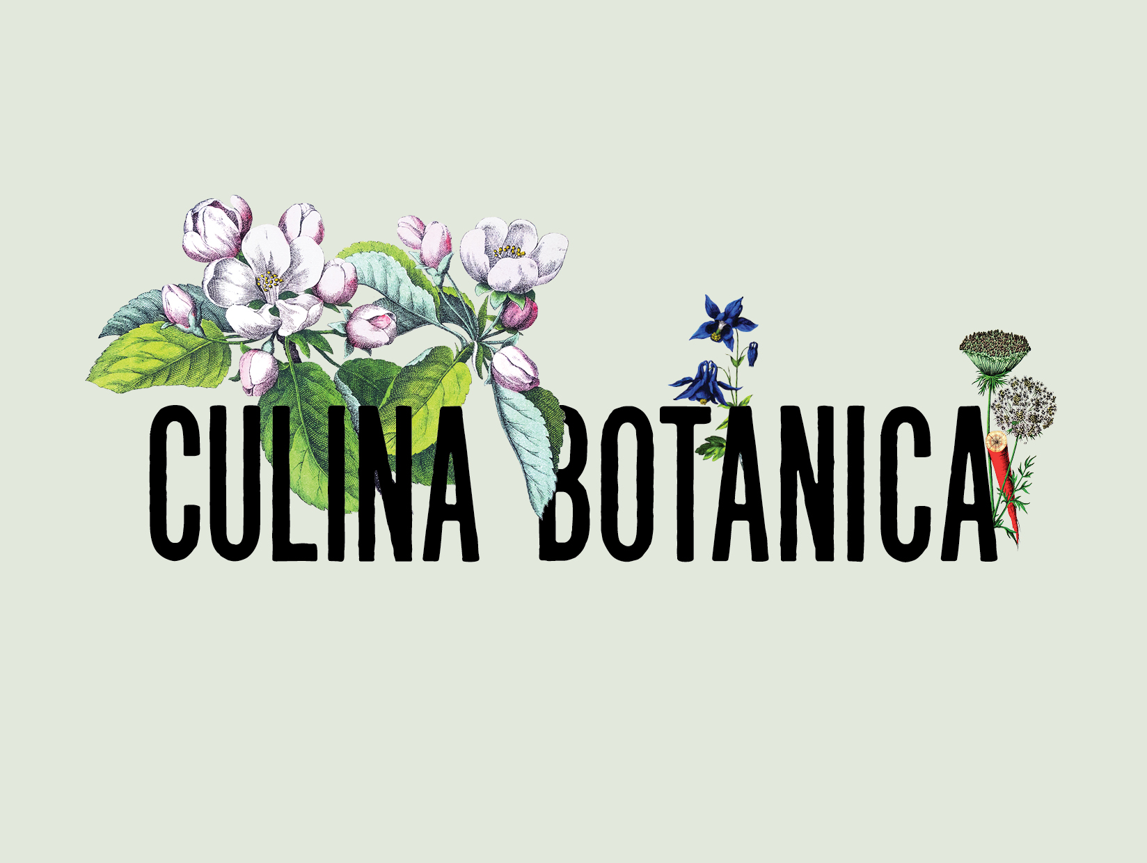 Culina Botanica